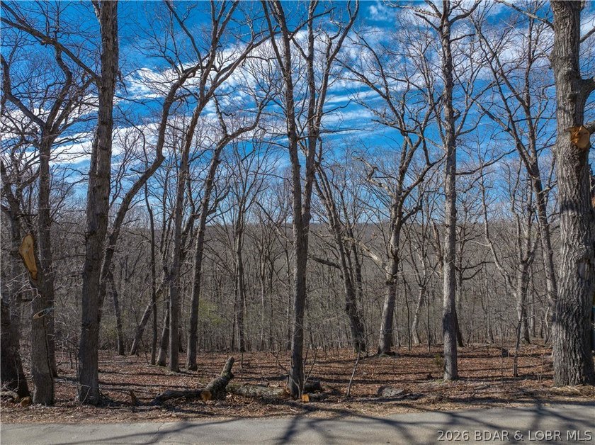 14.9 wooded Acres on paved road. Private and peaceful acreage - photo 10