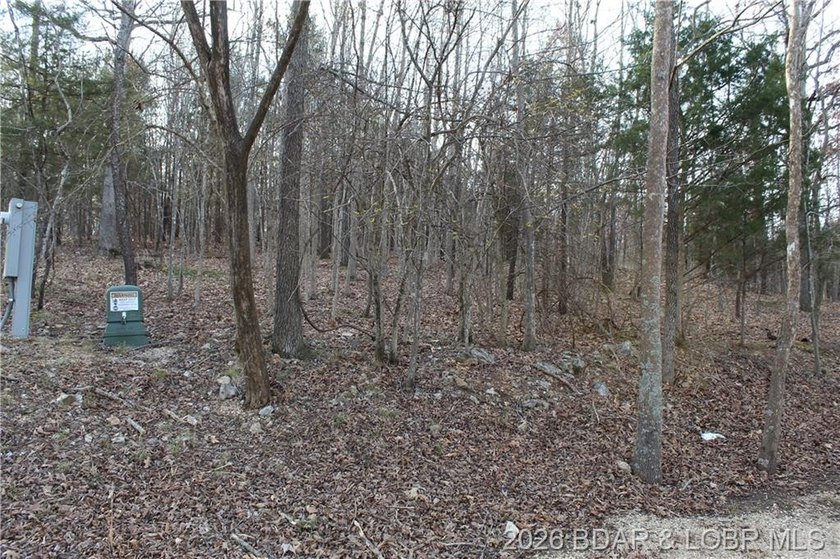 Nice building lot overlooking Gladstone Cove. Property lays nice - photo 2