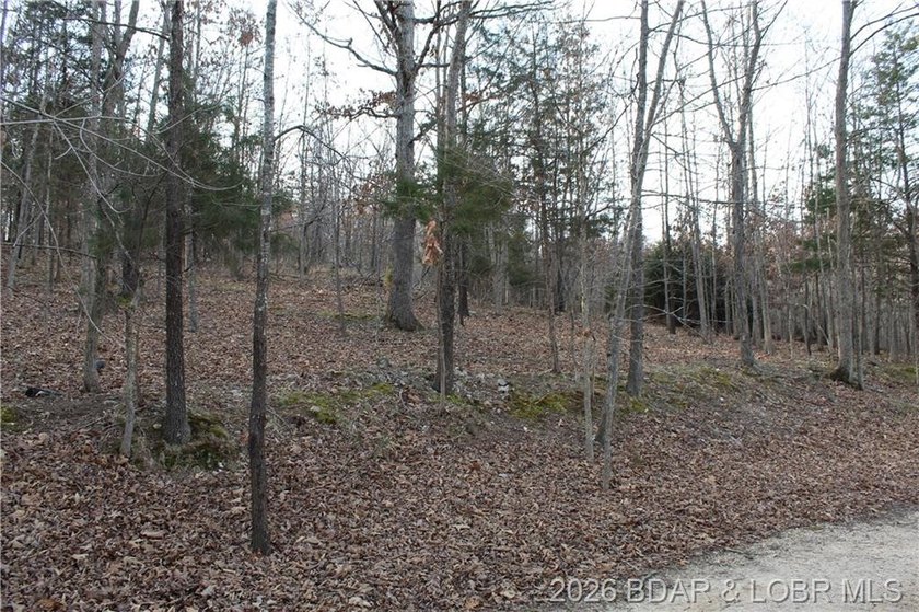 Nice building lot overlooking Gladstone Cove. Property lays nice - photo 3