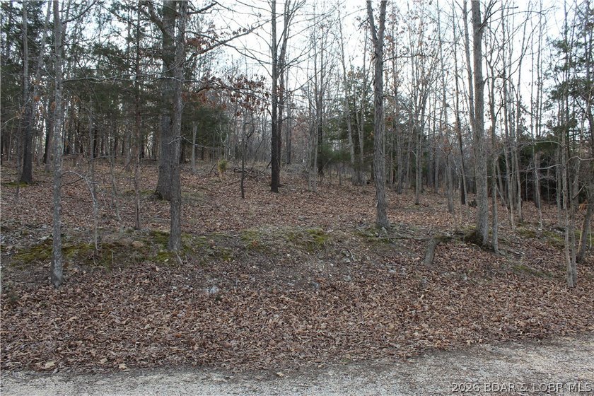 Nice building lot overlooking Gladstone Cove. Property lays nice - photo 4