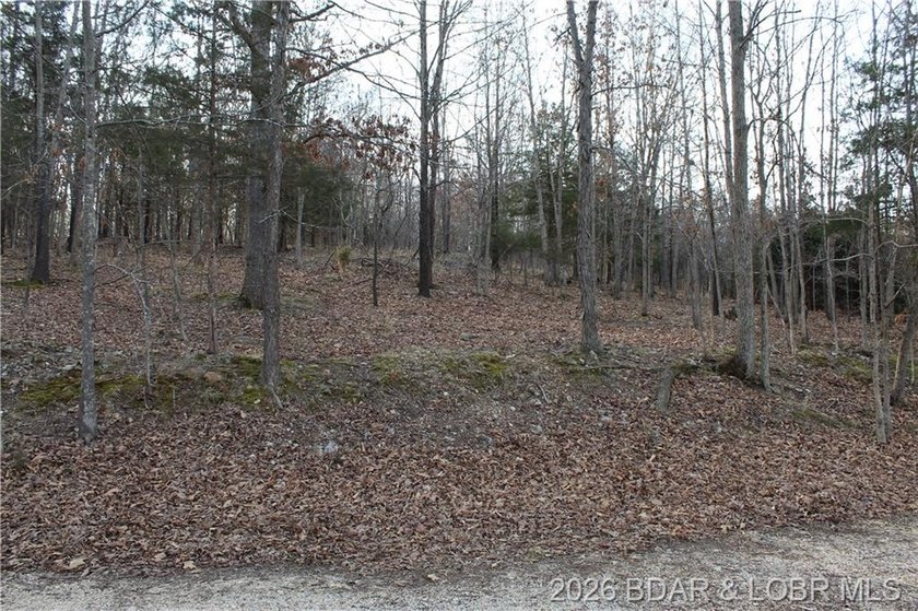 Nice building lot overlooking Gladstone Cove. Property lays nice - photo 4