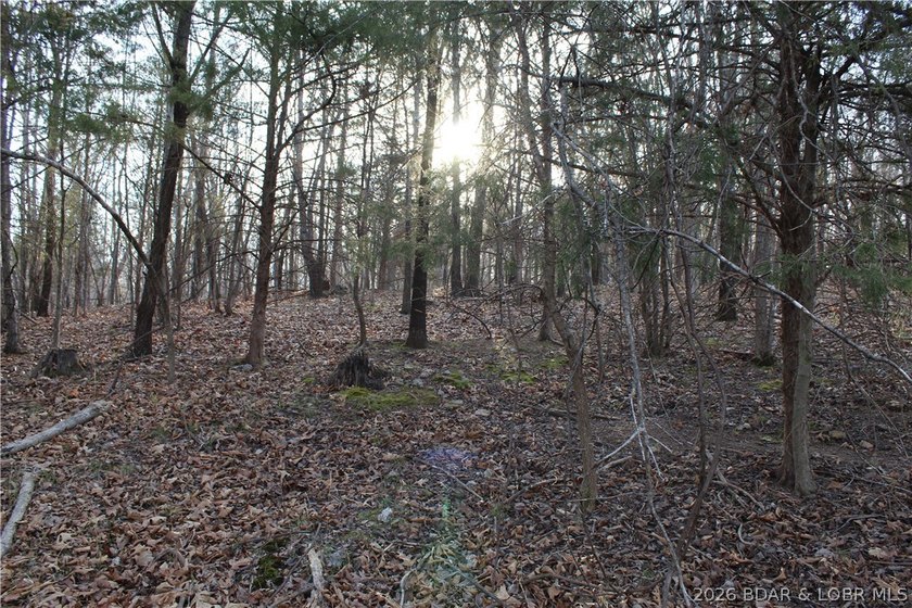 Nice building lot overlooking Gladstone Cove. Property lays nice - photo 6