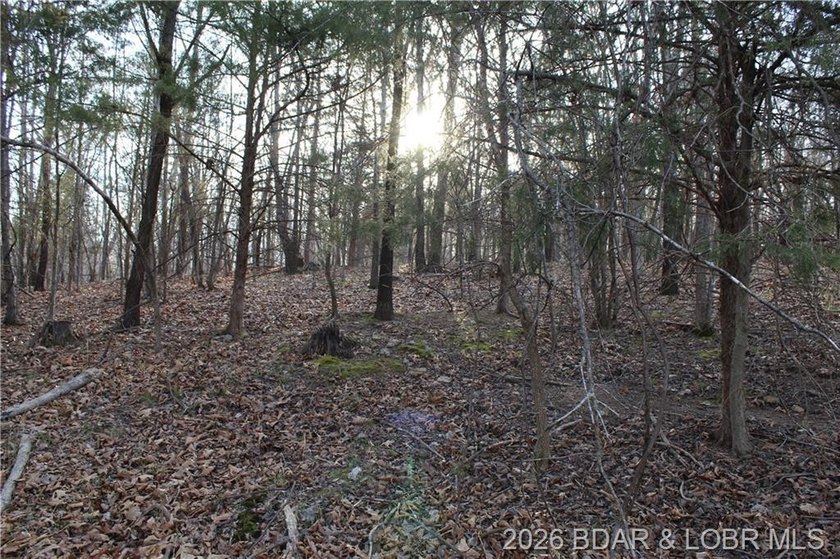 Nice building lot overlooking Gladstone Cove. Property lays nice - photo 6