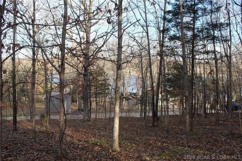 Nice building lot overlooking Gladstone Cove. Property lays nice - photo 7