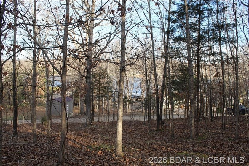 Nice building lot overlooking Gladstone Cove. Property lays nice - photo 7