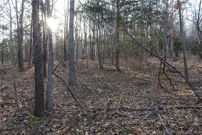 Nice building lot overlooking Gladstone Cove. Property lays nice - photo 8