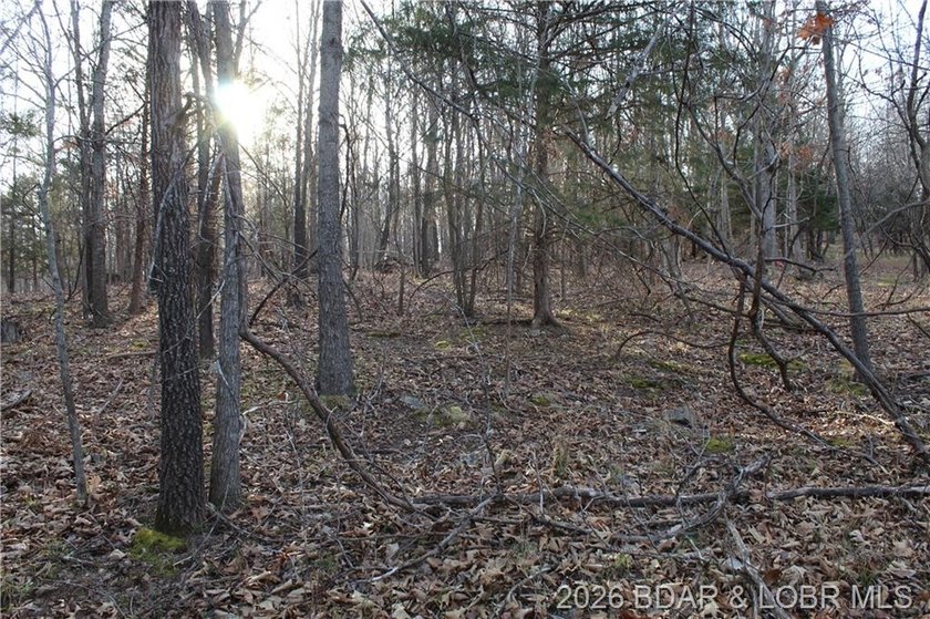 Nice building lot overlooking Gladstone Cove. Property lays nice - photo 8