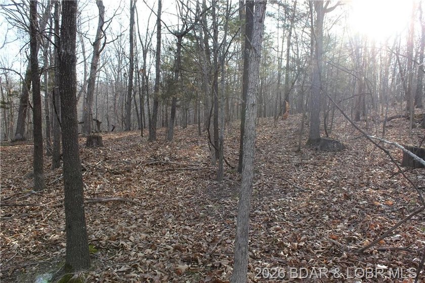 Nice building lot overlooking Gladstone Cove. Property lays nice - photo 9
