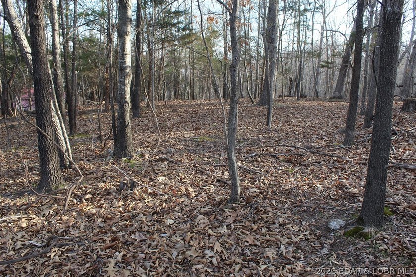 Nice building lot overlooking Gladstone Cove. Property lays nice - photo 10