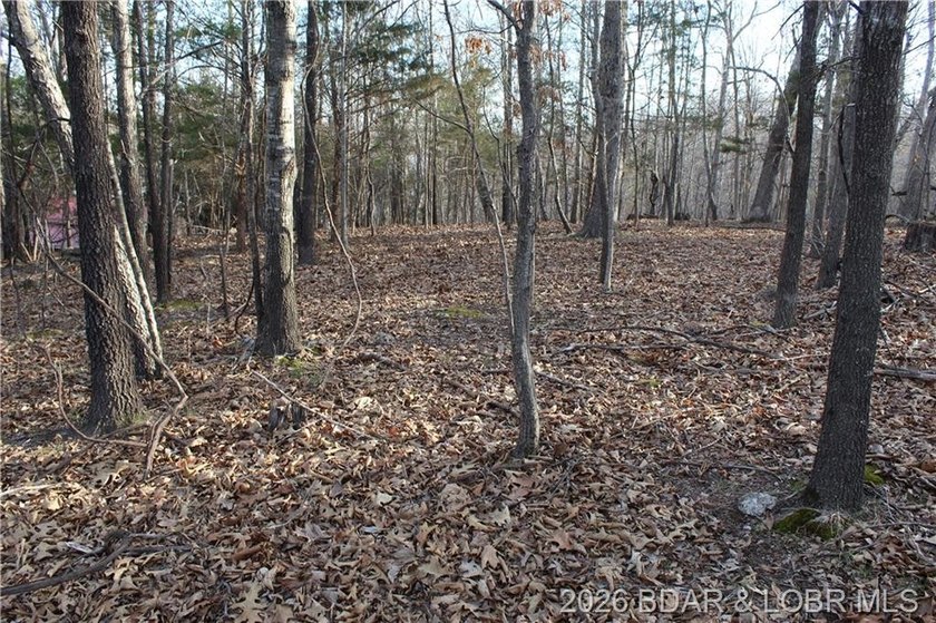 Nice building lot overlooking Gladstone Cove. Property lays nice - photo 10