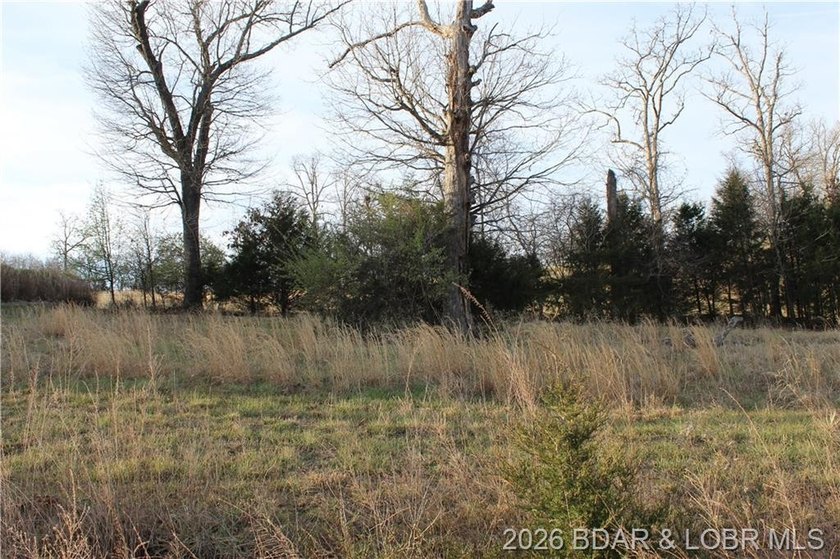 Nice lakeview lot in Johnson's Bay subdivision overlooking - photo 2