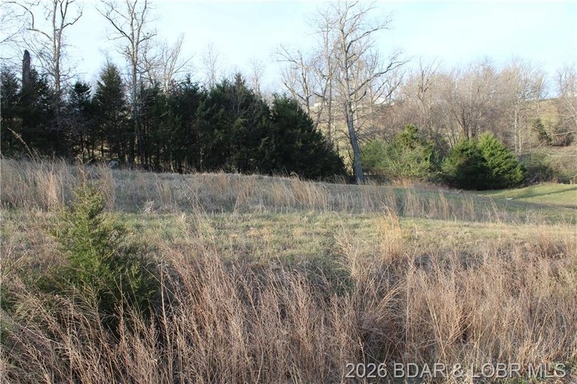 Nice lakeview lot in Johnson's Bay subdivision overlooking - photo 3