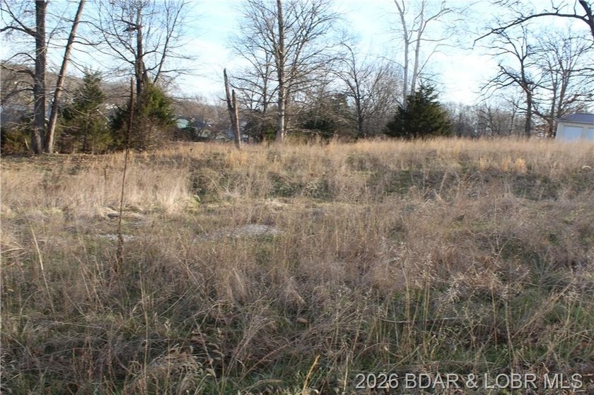 Nice lakeview lot in Johnson's Bay Subdivisionmunity water and - photo 2