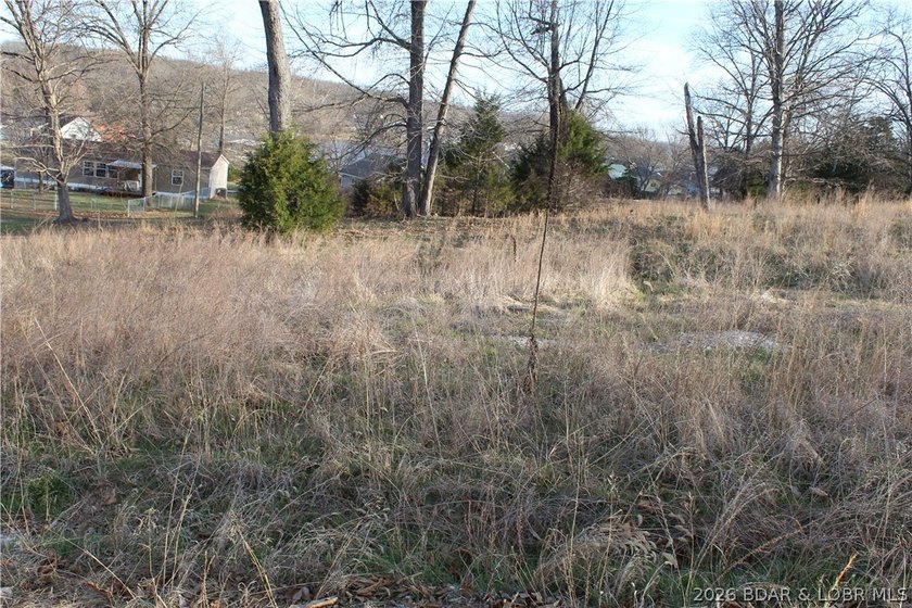 Nice lakeview lot in Johnson's Bay Subdivisionmunity water and - photo 3