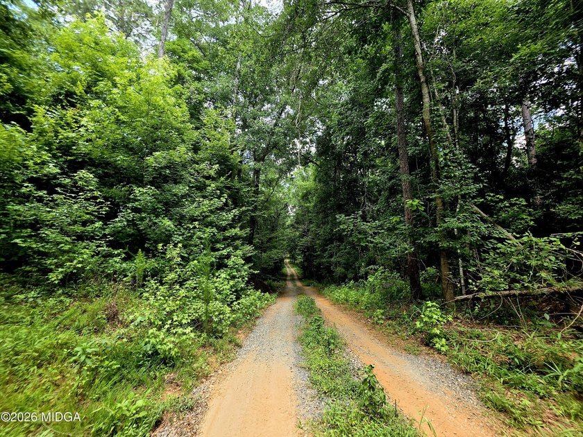 Four beautiful parcels available just off Highway 42 South in - photo 2