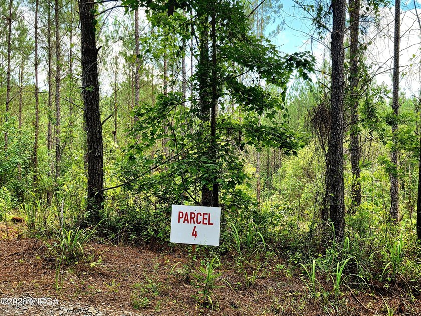 Four beautiful parcels available just off Highway 42 South in - photo 5