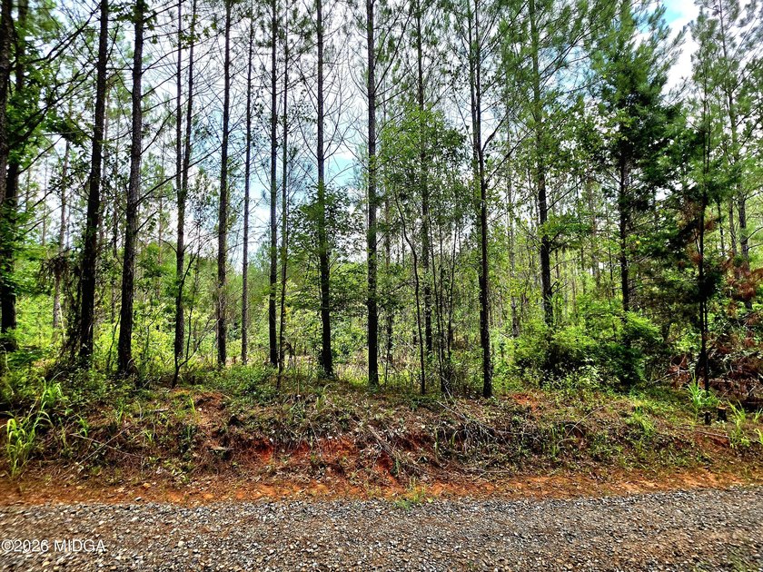 Four beautiful parcels available just off Highway 42 South in - photo 6