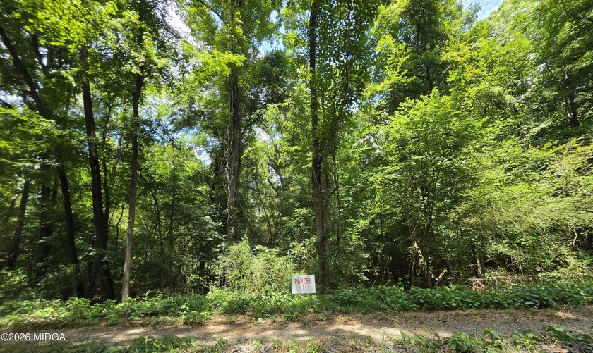 Four beautiful parcels available just off Highway 42 South in - photo 8