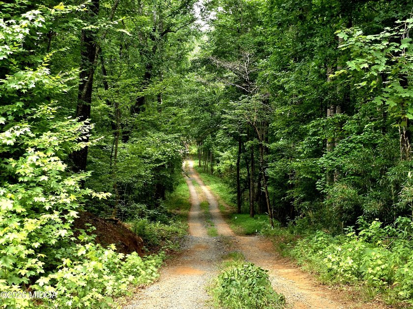 Four beautiful parcels available just off Highway 42 South in - photo 9