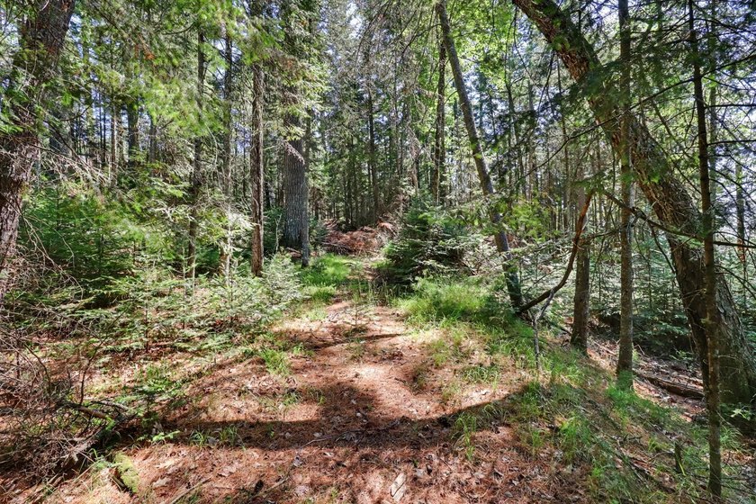 Rare opportunity to build in the highly sought-after Eaglewatch - photo 12