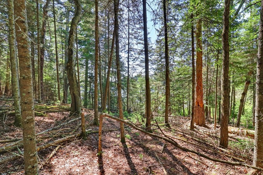 Rare opportunity to build in the highly sought-after Eaglewatch - photo 13