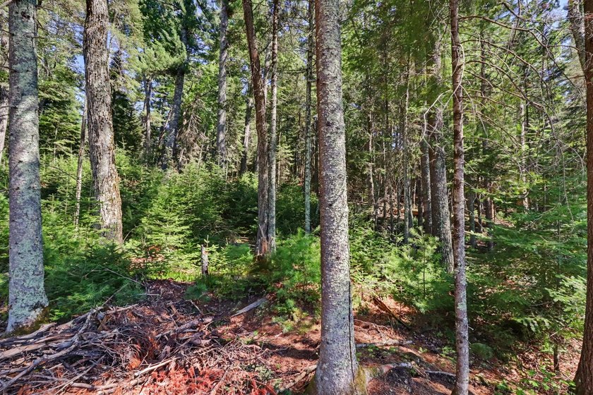 Rare opportunity to build in the highly sought-after Eaglewatch - photo 14