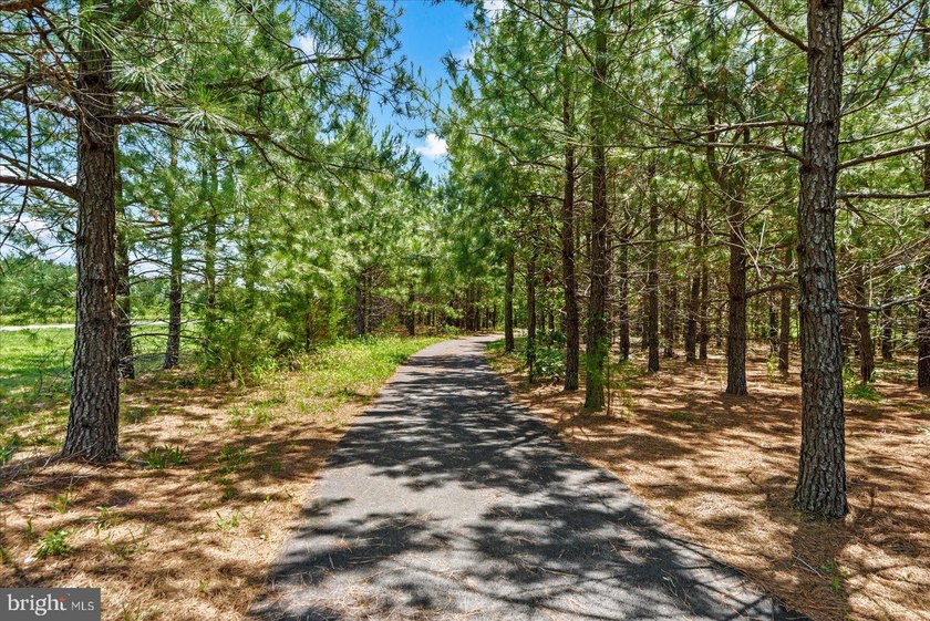 Why wait for new construction? This beautifully maintained - photo 43