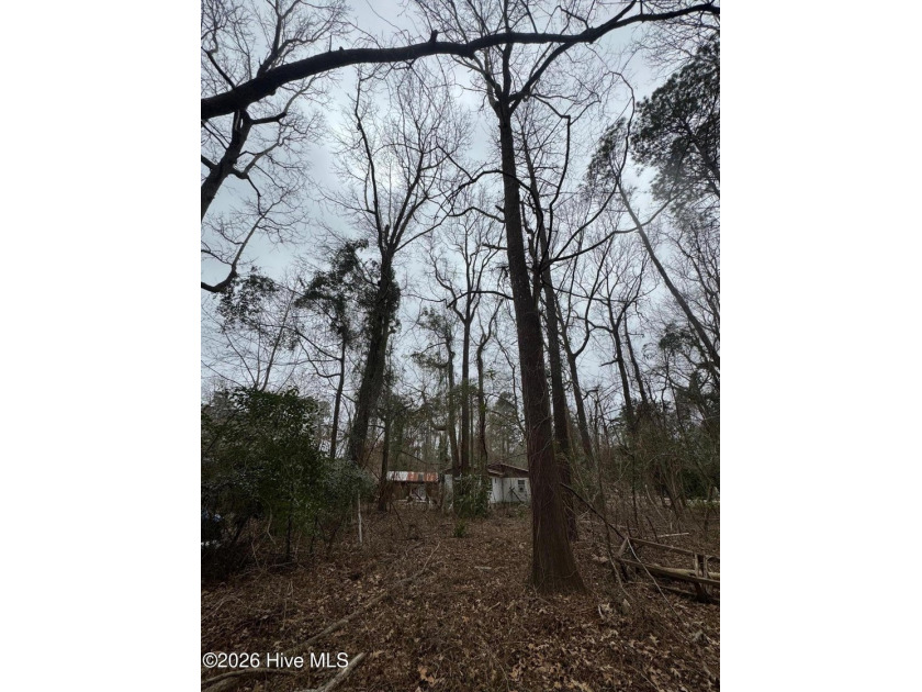 Build your home on 144 Hemlock St! Excellent Price in a - photo 3