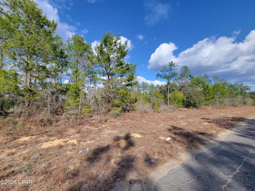 Build your future in the fast-growing Sunny Hills community - photo 2