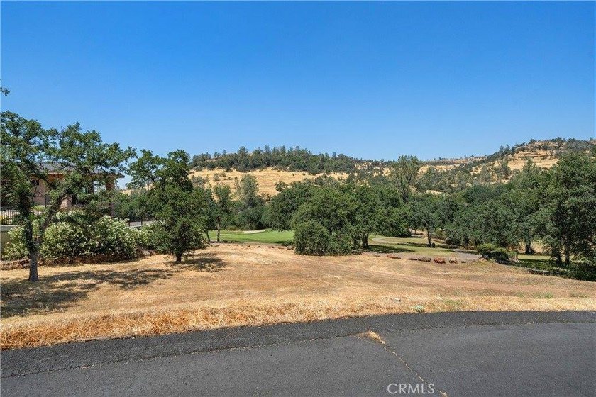 Create your custom dream home on this exceptional vacant lot in - photo 9