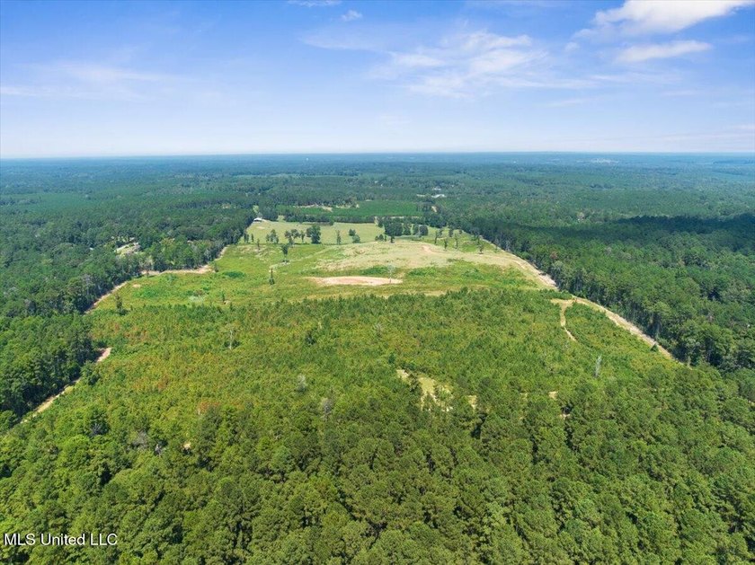 116 acres of land for sale in North Pike School District - photo 12