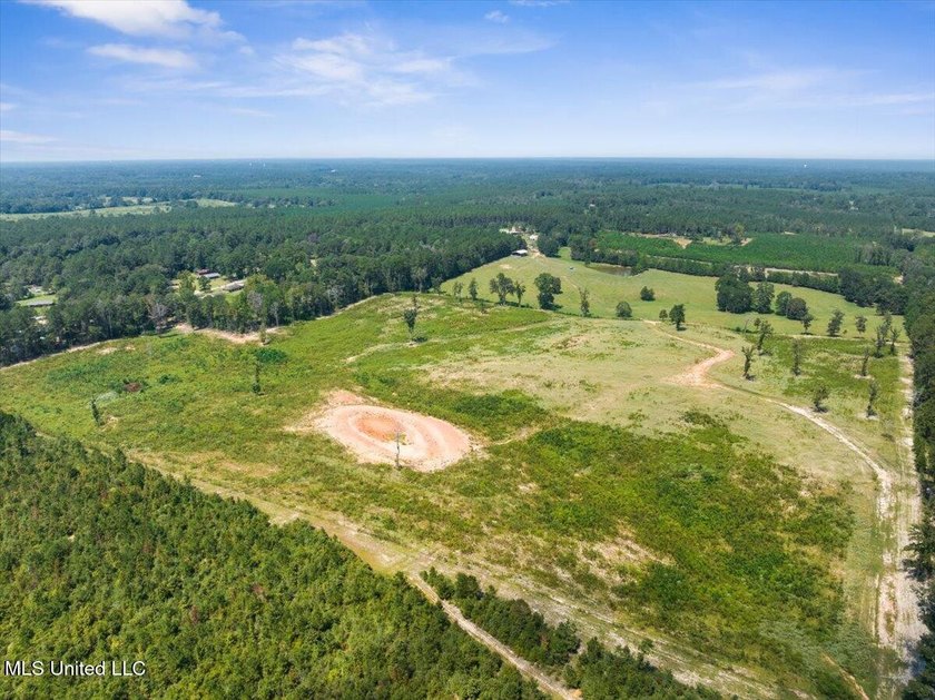 116 acres of land for sale in North Pike School District - photo 13
