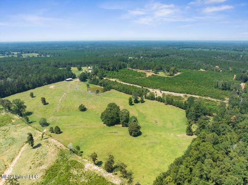 116 acres of land for sale in North Pike School District - photo 14