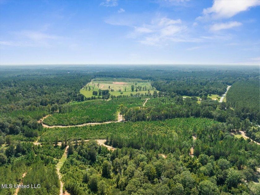 116 acres of land for sale in North Pike School District - photo 15