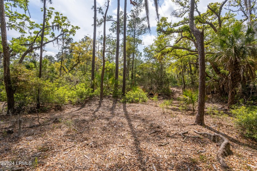 Nestled along the picturesque intercoastal waterway lies a rare - photo 9