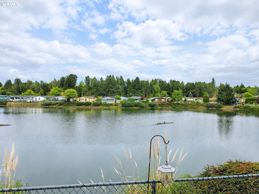 Experience tranquility at Giadanj Lake Estates with this updated - photo 22