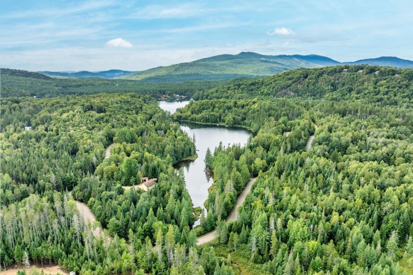 A unique opportunity to acquire a large private lot in a - photo 3