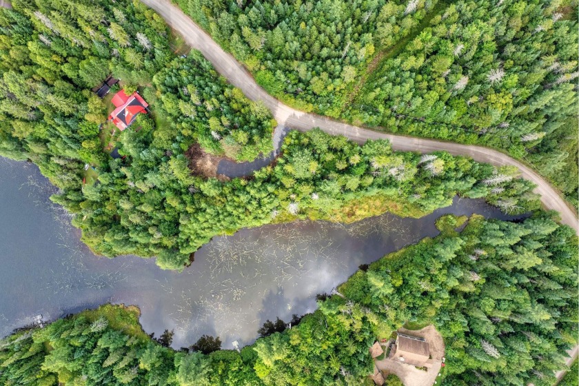 A unique opportunity to acquire a large private lot in a - photo 5