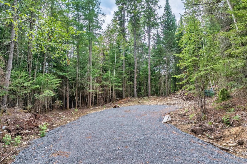 A unique opportunity to acquire a large private lot in a - photo 8