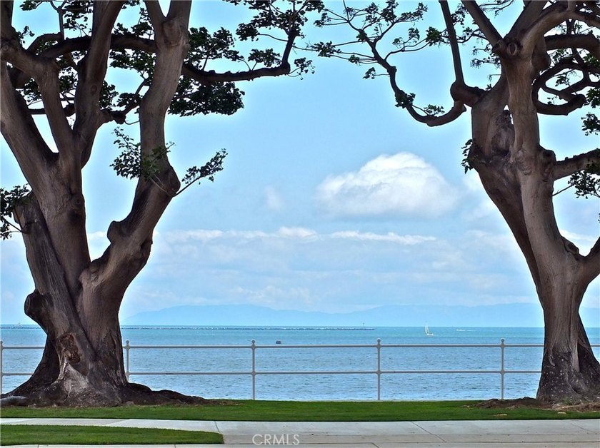 Charming upstairs 1 bed 1 bath condo for sale in the heart of - photo 38