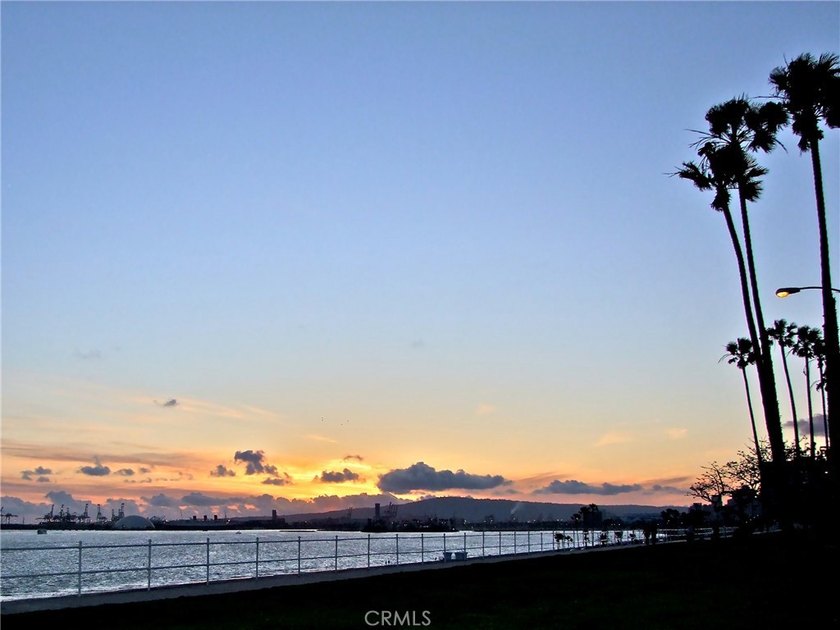 Charming upstairs 1 bed 1 bath condo for sale in the heart of - photo 43