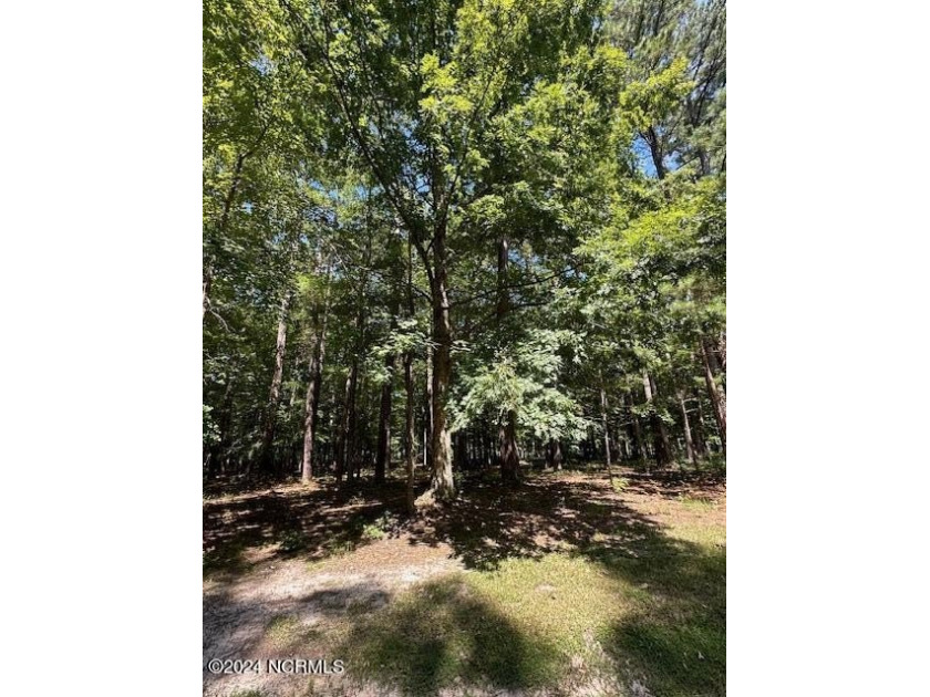 Nestle your new home in this easily affordable cul-de-sac lot - photo 2