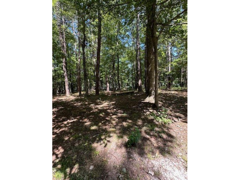 Nestle your new home in this easily affordable cul-de-sac lot - photo 3