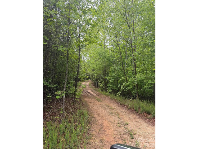 This private tract/lot located just outside the city limits - photo 5
