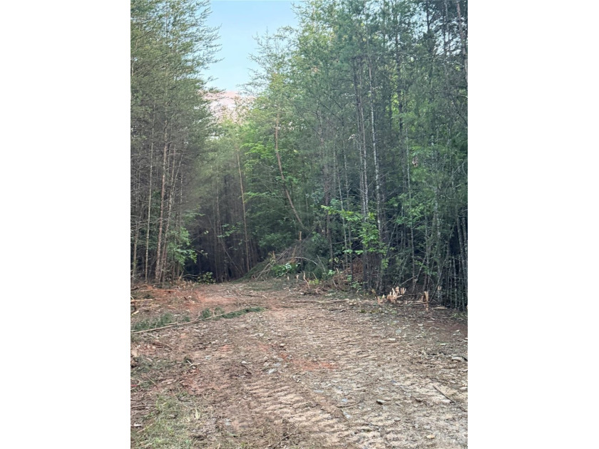 This private tract/lot located just outside the city limits - photo 9