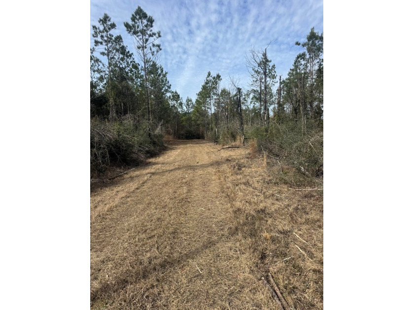 Enjoy the outdoors on this 40-acre tract in Poplarville that's - photo 6