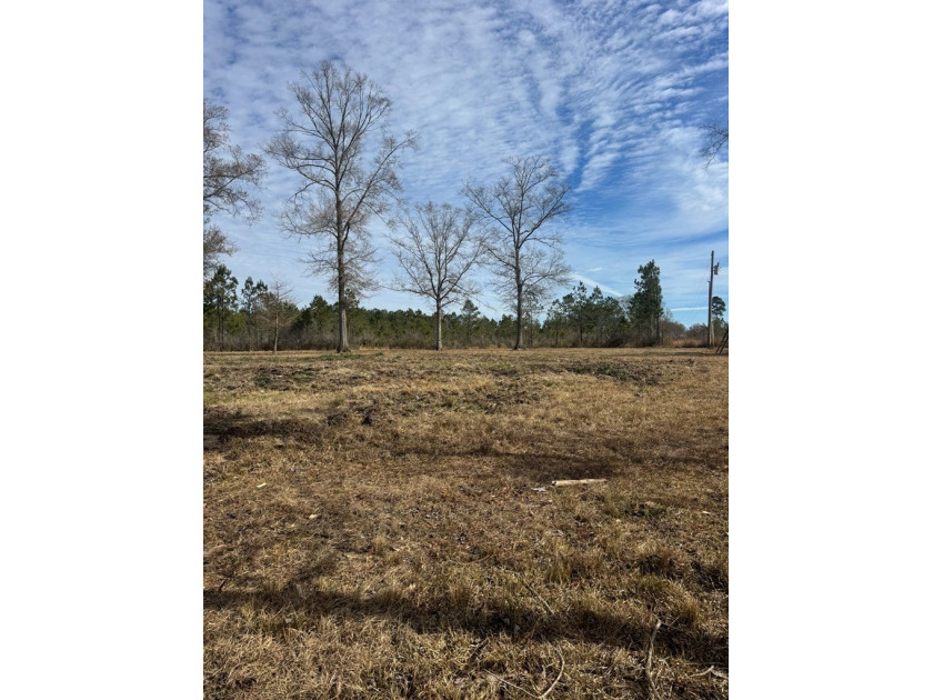 Enjoy the outdoors on this 40-acre tract in Poplarville that's - photo 9