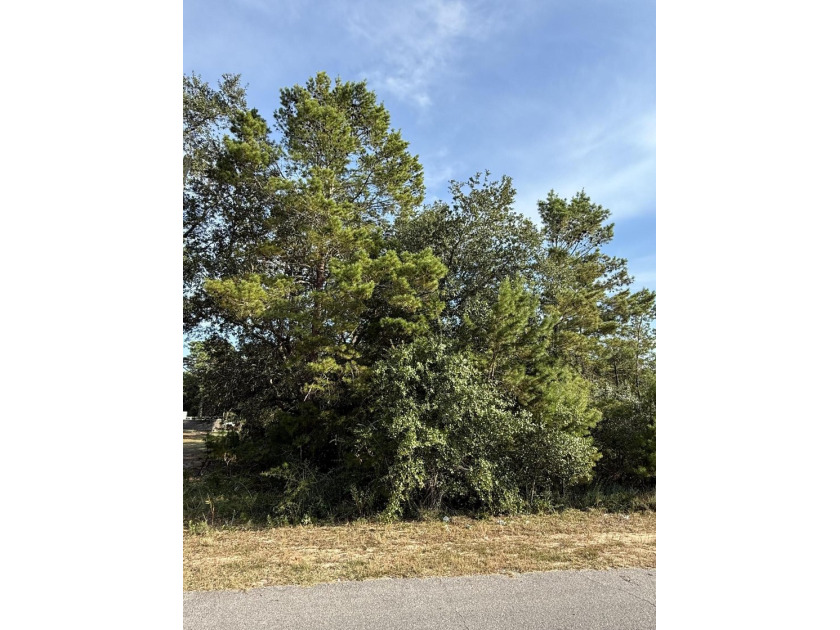 Listing photo