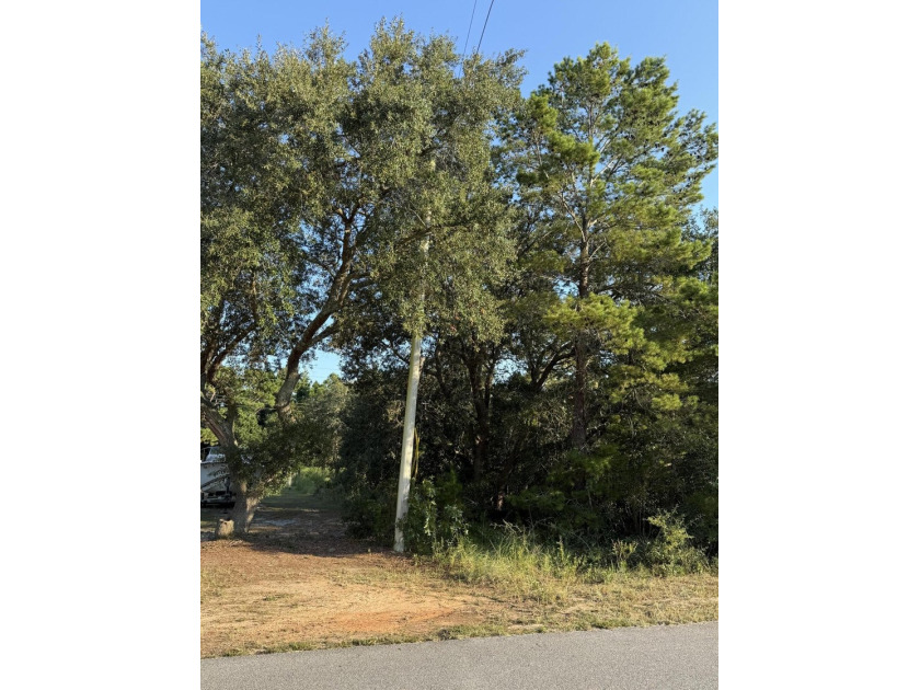 The perfect canvas for your dream home! This beautiful vacant - photo 2