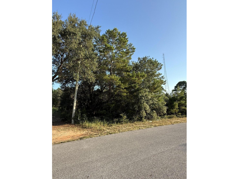 The perfect canvas for your dream home! This beautiful vacant - photo 6